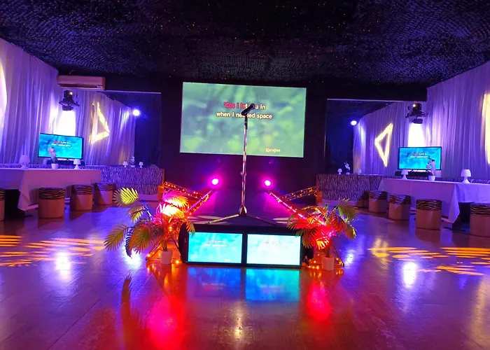 Bed & Breakfast Cyborg